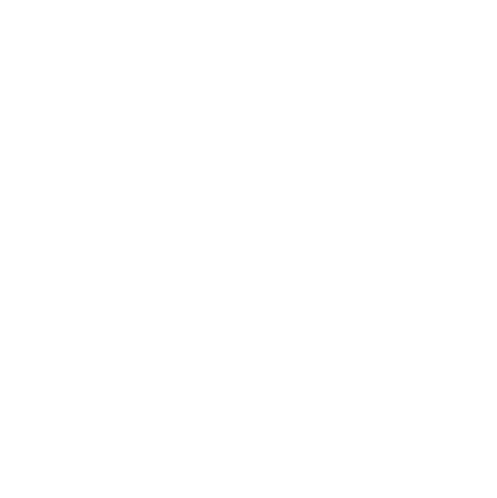 WIVA-Logo