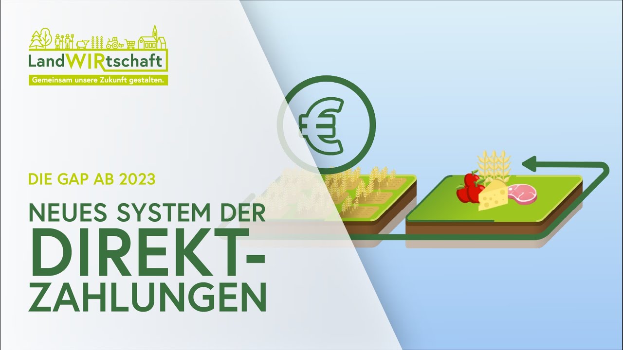 BML — Kampagne x Explainer